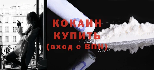 дживик Карпинск