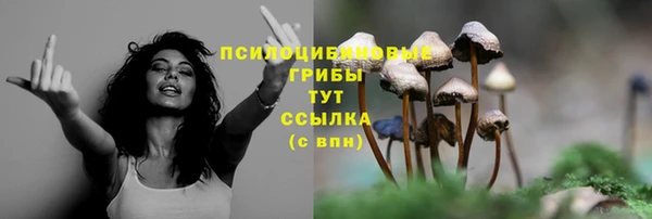 дживик Карпинск