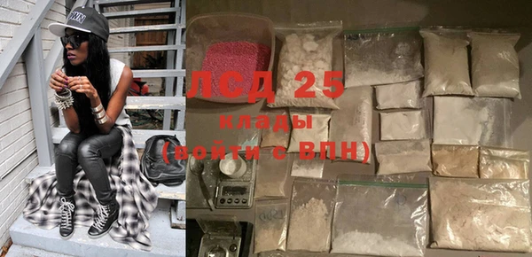 дживик Карпинск